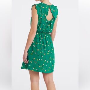 NWT 41 Hawthorn Green Floral Cap Sleeve Dress